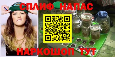 прущие грибы Аргун